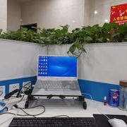 码东没的个人资料头像