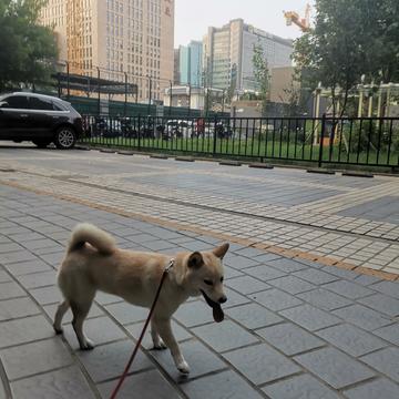 花果山大圣于2020-07-22 22:02发布的图片