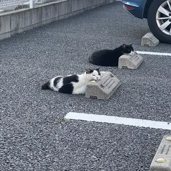 wangly19于2020-07-23 01:16发布的图片