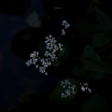 xxxL于2020-07-23 09:36发布的图片