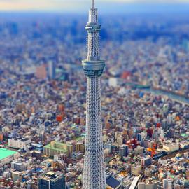 xxxL于2020-07-23 09:36发布的图片