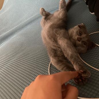 信仰君于2020-07-23 10:04发布的图片