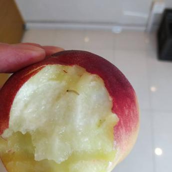 sun于2020-07-23 17:55发布的图片