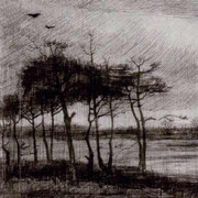 一树梨花压海棠的个人资料头像