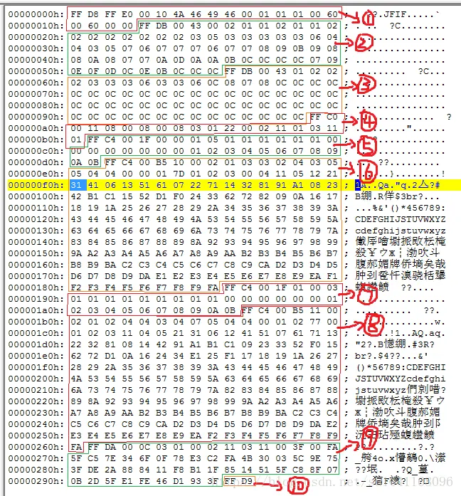jpeg二进制代码源码分析