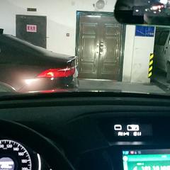 LuerDog于2020-07-27 08:11发布的图片