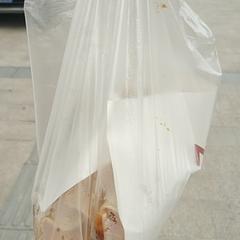 LuerDog于2020-07-27 08:11发布的图片