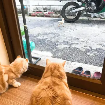 按下F12于2020-07-27 15:10发布的图片