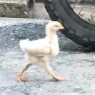 按下F12于2020-07-27 15:10发布的图片