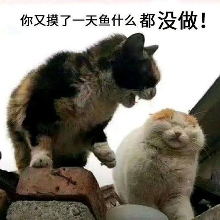 波罗丁的菠萝于2020-07-27 17:16发布的图片