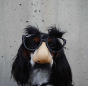 小胡同学哎的个人资料头像