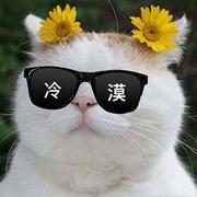 轻轻的轻轻的个人资料头像