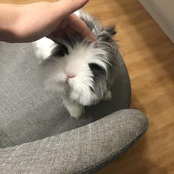 陇锦于2020-07-27 21:44发布的图片