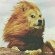 OldMan_L的个人资料头像