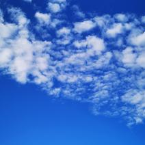 moreThan于2020-07-28 09:56发布的图片