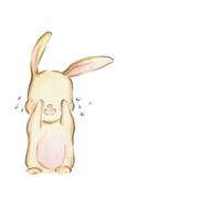 LXM_596的个人资料头像