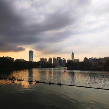 大大qiqiu于2020-07-28 22:11发布的图片