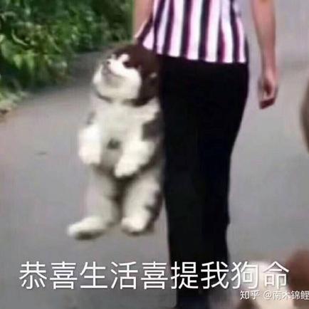 Mr_Wang于2020-07-29 08:46发布的图片
