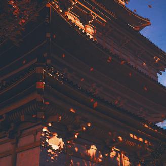 xxxL于2020-07-29 09:41发布的图片