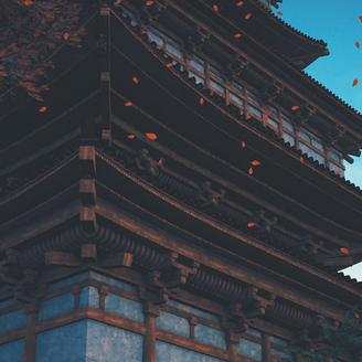 xxxL于2020-07-29 09:41发布的图片