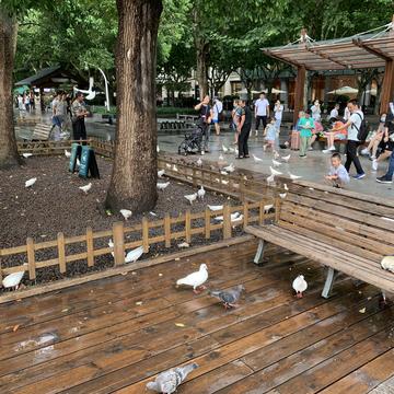 aws前端攻城狮于2020-07-29 15:13发布的图片