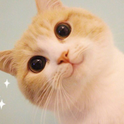 敖雪于2020-07-03 09:04发布的图片