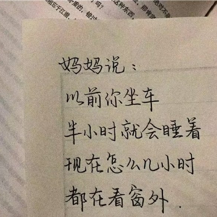 南风以南于2020-07-03 16:15发布的图片