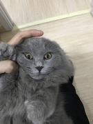 YYY的个人资料头像