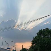 laowhite的个人资料头像