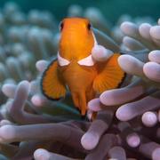 请叫我408哥哥的个人资料头像