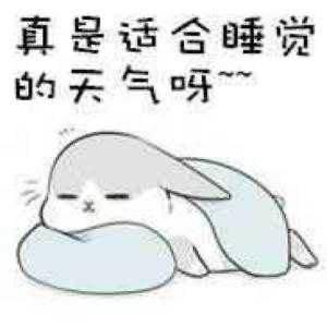 litty就是我于2020-07-04 11:40发布的图片