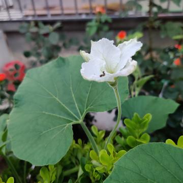 钟子敬07于2020-07-04 18:44发布的图片