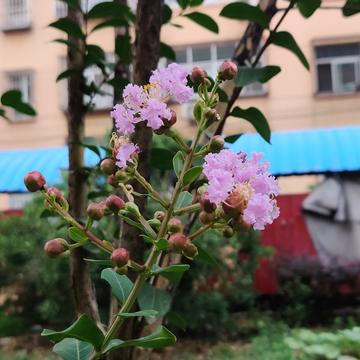 钟子敬07于2020-07-04 18:44发布的图片