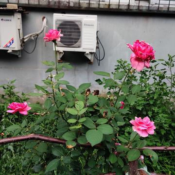 钟子敬07于2020-07-04 18:44发布的图片