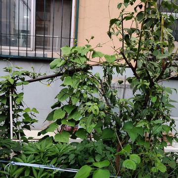 钟子敬07于2020-07-04 18:44发布的图片