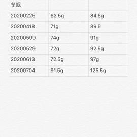 重庆崽儿brand于2020-07-04 19:08发布的图片