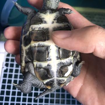 重庆崽儿brand于2020-07-04 19:08发布的图片