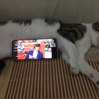 摸鱼可耻于2020-07-05 12:06发布的图片