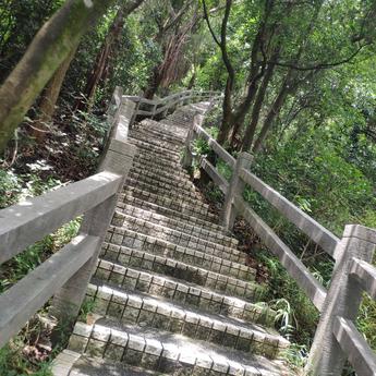 直须于2020-07-05 14:14发布的图片