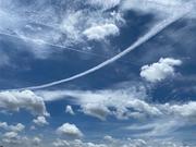 杜克不是鸭子的个人资料头像