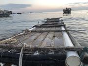 JPrevious的个人资料头像