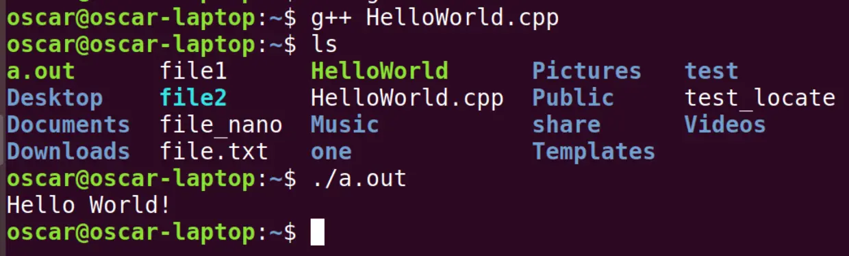 不用 -o 参数生成 a.out 可执行程序