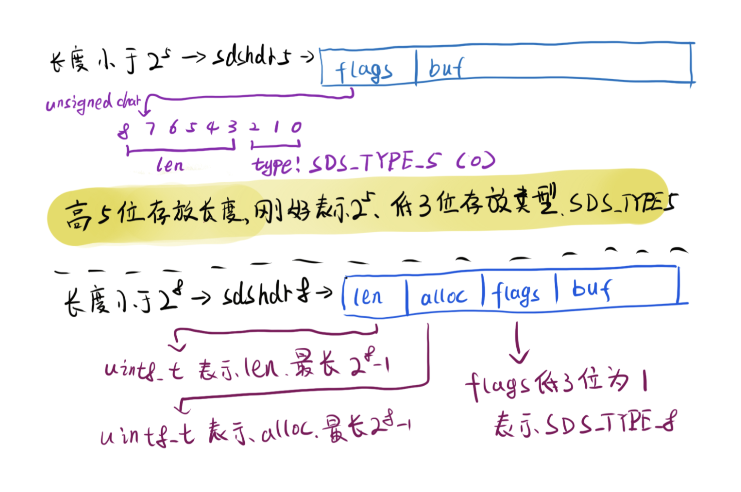 sds类型内存图