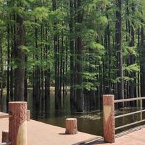 HappyChat_于2020-07-06 16:44发布的图片