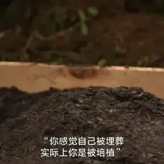 绿鲤鱼与鱼于2020-07-07 10:01发布的图片