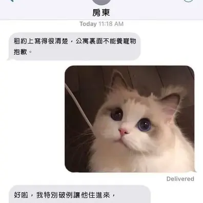 喵秒喵于2020-07-07 16:01发布的图片