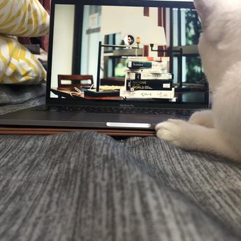 LOUSANPANG于2020-07-06 21:08发布的图片