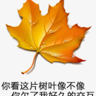 黑夜行于2020-07-06 21:46发布的图片