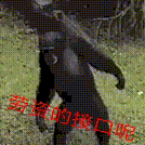 黑夜行于2020-07-06 21:46发布的图片