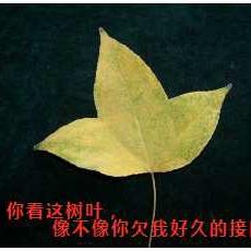 黑夜行于2020-07-06 21:52发布的图片